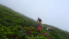 half-mile_17_009