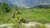 half-mile_17_031