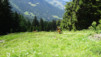 half-mile_17_038