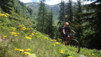 half_full_mile_2020_023