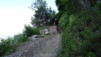 half_half_mile_2020_002