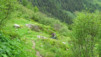 half_mile_15_024
