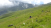 half_mile_16_011
