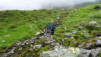 half_mile_16_019