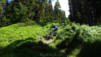 half_mile_16_046