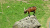 half_mile_16_049