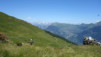 half_mile_18_006