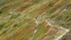 half_mile_bs_024