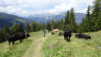 half_mile_e_18_035