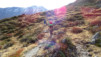 half_mile_fall_006