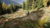 half_mile_fall_026