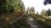 half_mile_fall_028
