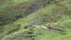 half_mille_22_005