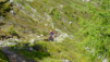 half_mille_22_007