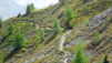 half_mille_22_008