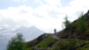half_mille_22_011