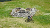 half_mille_22_014