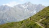 half_mille_22_019