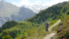 half_mille_22_024