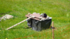 half_mille_22_027