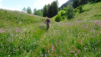 half_mille_22_028