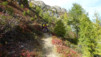 heruhubel_038