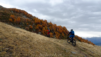 horilaeger_004