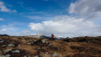 horilaeger_018