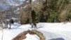 horlini_17_003