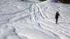 horlini_17_004