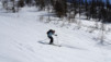 horlini_17_023