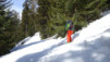 horlini_17_025