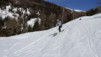 horlini_17_026