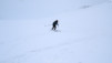 horlini_18_013
