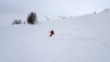 horlini_18_018