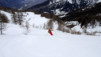 horlini_18_019