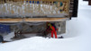horlini_18_021