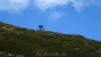 illsee_14_025