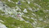 illsee_14_028