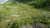 illsee_14_034