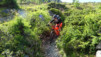 illsee_14_036