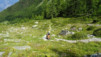 illsee_14_037