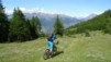 illsee_14_040