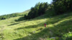 La courte ascension choisie, Chandolin/Illpass, démarre tout en chemin et en rosée matinale. illsee_17_006
