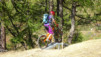 inneri_weide_003
