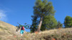 inneri_weide_007