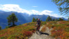 inneri_weide_011