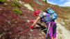 inneri_weide_019