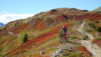 inneri_weide_021