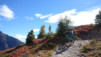 inneri_weide_026